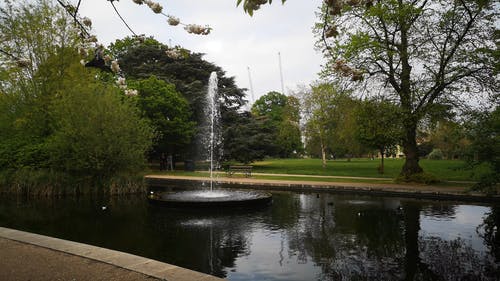 有关伦敦, 公园, 喷泉的免费素材视频
