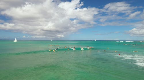 有关冲浪女孩, 划桨, 夏威夷的免费素材视频