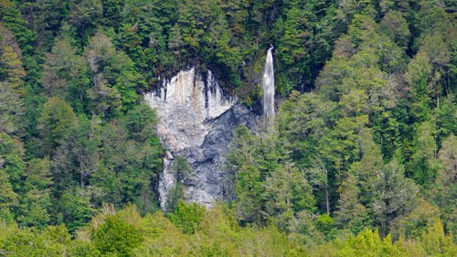 高山森林悬崖上的瀑布 · 免费素材视频