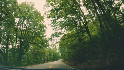 有关公路旅行, 山路, 树木的免费素材视频