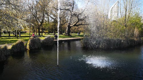 有关喷泉, 天性, 户外的免费素材视频