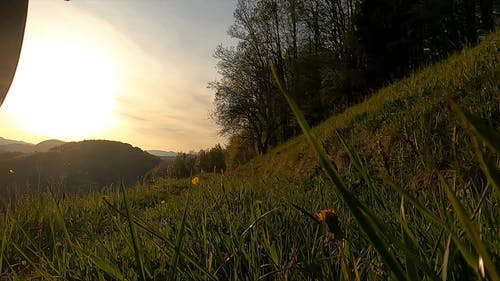 有关低角度拍摄, 冒险, 天性的免费素材视频