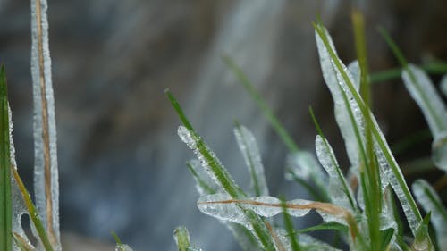 有关冰, 冻结的, 工厂的免费素材视频