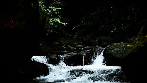 有关优美的风景, 天性, 岩床的免费素材视频