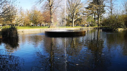 有关喷泉, 天性, 户外的免费素材视频