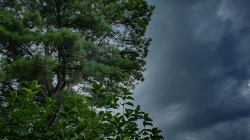 乌云随着强劲的风吹动 · 免费素材视频