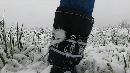 有关下雪, 低角度拍摄, 冬季的免费素材视频