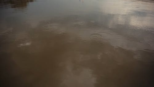 有关不清楚, 反射, 圈圈的免费素材视频