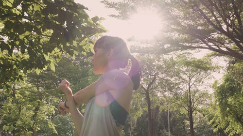 有关人, 天性, 太阳的免费素材视频