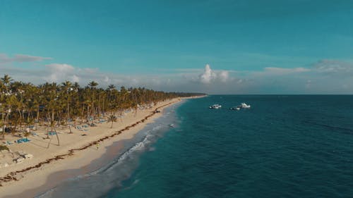 海滩胜地的航拍 · 免费素材视频
