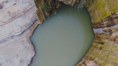 有关天性, 户外, 日光的免费素材视频