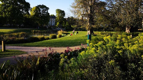 有关修剪花草, 伦敦, 公园的免费素材视频