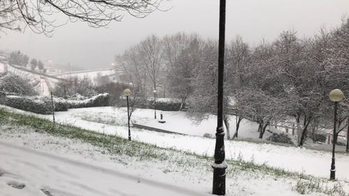 降雪带来的冰雪覆盖的空公园 · 免费素材视频