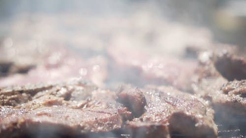 在户外烧烤一堆肉 · 免费素材视频