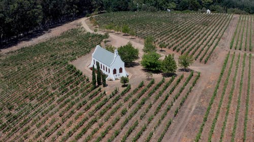 电弧的镜头，在一座农业用地中间的一座教堂的无人机 · 免费素材视频