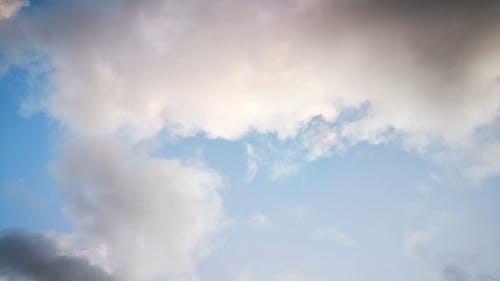 有关天性, 户外, 日光的免费素材视频