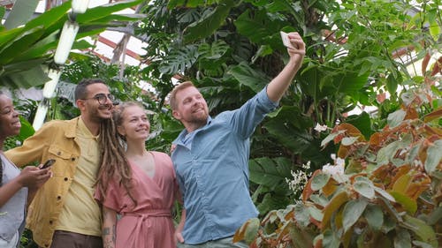 一群人使用手机在温室内拍照 · 免费素材视频