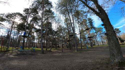 有关公园, 天性, 户外的免费素材视频