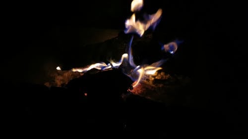 有关木柴, 树林, 漆黑的免费素材视频