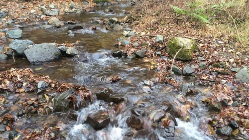 一条小溪流过岩石床 · 免费素材视频