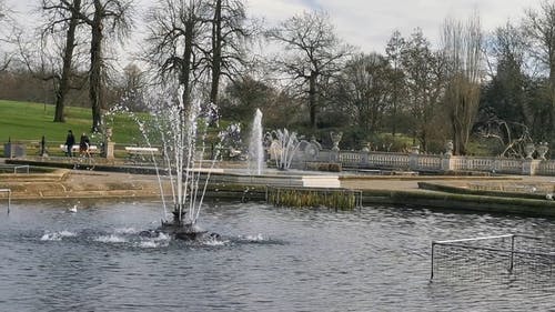 海德公园的水塘吸引着喷泉 · 免费素材视频