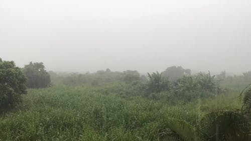 有关下雨, 多云的天空, 时间流逝的免费素材视频