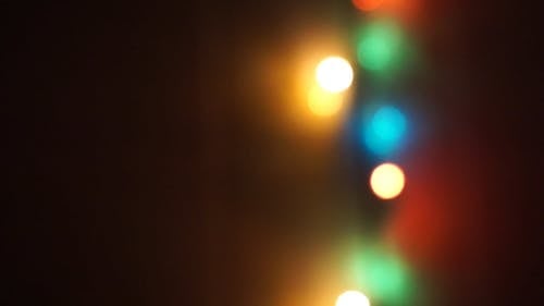 圣诞灯聚焦镜头 · 免费素材视频