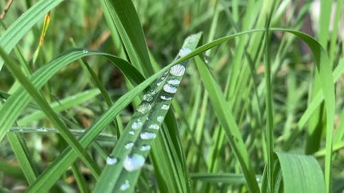 有关发抖, 工厂, 干净的水的免费素材视频