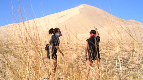 两个女人在沙漠中欣赏沙丘的景色 · 免费素材视频