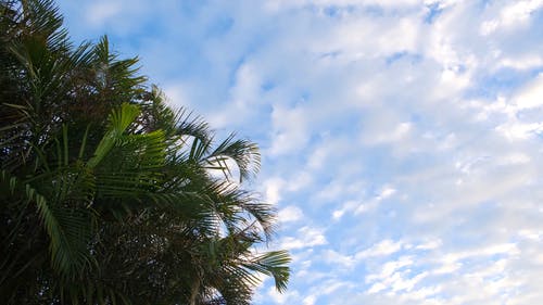 有关天性, 天气, 天空的免费素材视频