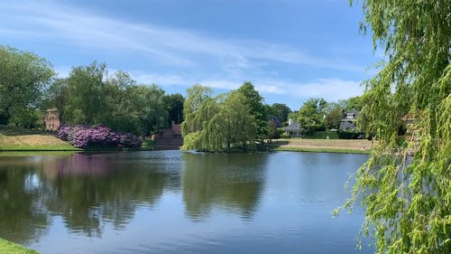 有关公园, 天性, 户外的免费素材视频