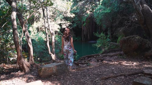 有关冒险家, 天性, 女人的免费素材视频