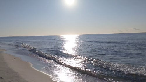 有关佛罗里达, 反射, 地平线的免费素材视频