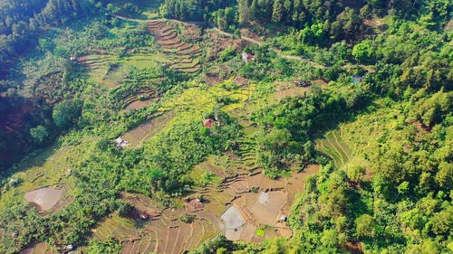 土地植被的无人机画面 · 免费素材视频