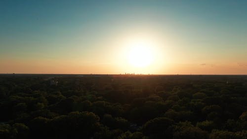 无人机画面的城市森林与背景为城市景观的树冠 · 免费素材视频