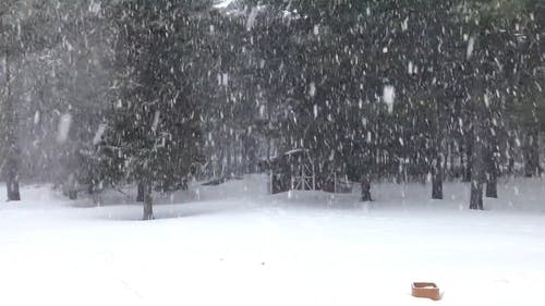 大雪覆盖地面 · 免费素材视频