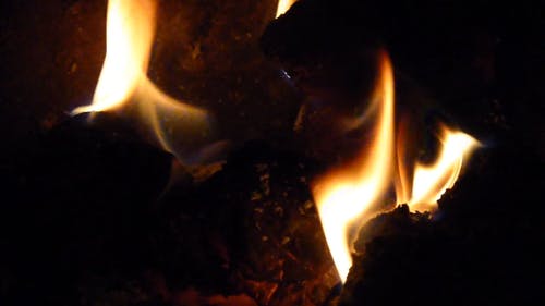 在壁炉上燃烧树林以获取热量和光 · 免费素材视频