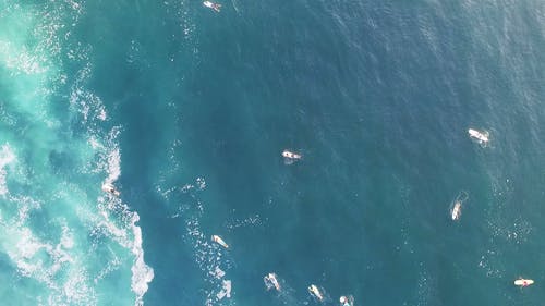 群海中等待波涛汹涌的冲浪者 · 免费素材视频