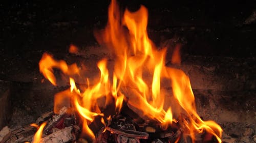 在壁炉中燃烧着火树林的火焰 · 免费素材视频