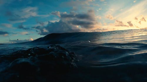 大浪冲浪 · 免费素材视频
