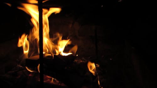 烹饪用燃烧的火树林 · 免费素材视频