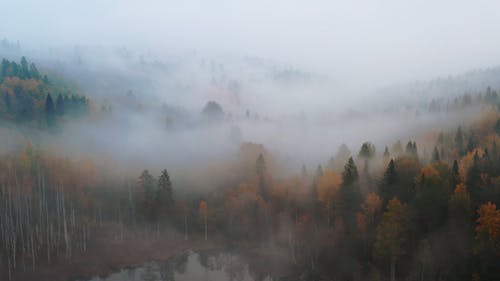 有关4k视频, 天性, 户外的免费素材视频