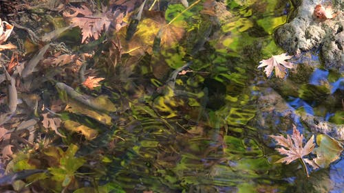 有关从上面查看, 俯视图, 冷静的免费素材视频