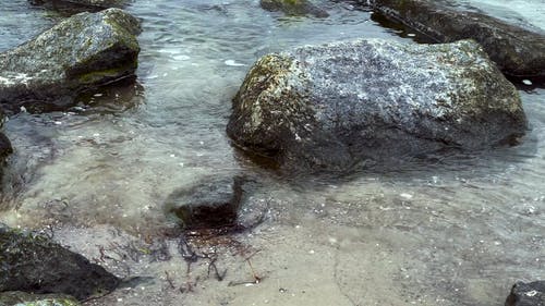 有关天性, 岩石海岸, 户外的免费素材视频