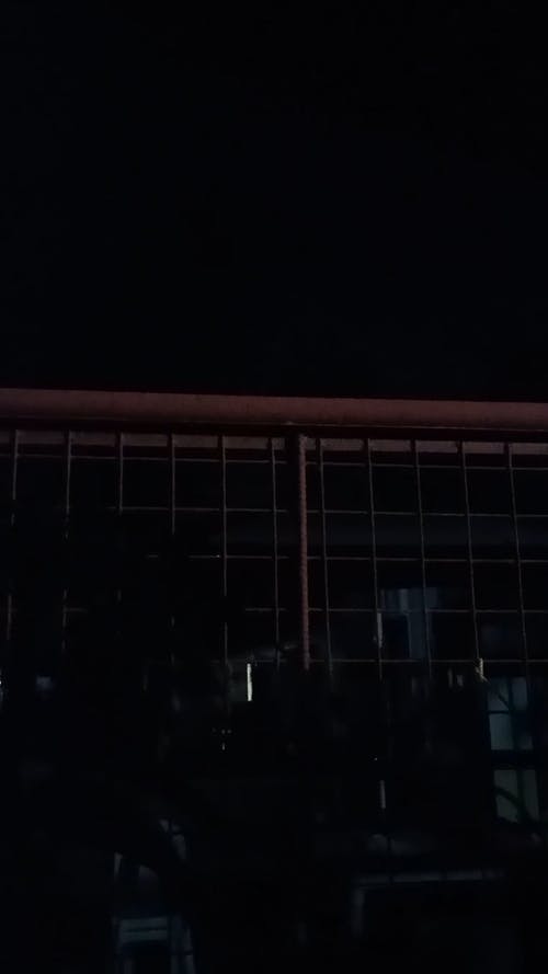 有关垂直视频, 夜空, 天性的免费素材视频