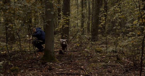 有关人, 天性, 季节的免费素材视频