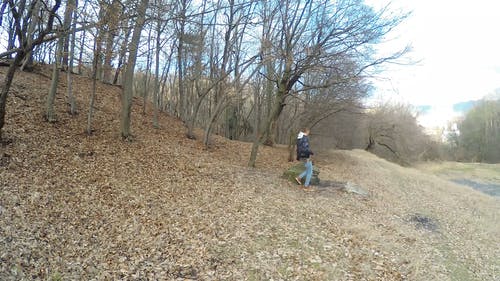 有关休息, 侧面图, 家伙的免费素材视频