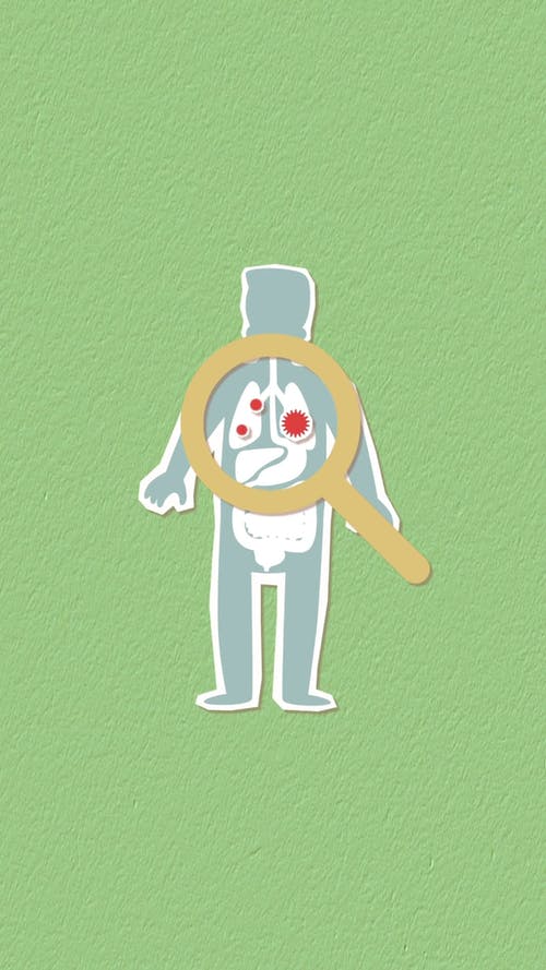 有关三维, 人, 内部器官的免费素材视频