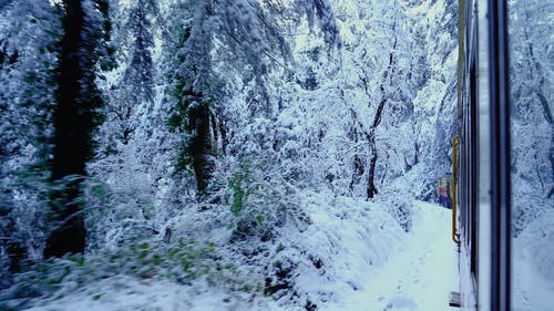 有关下雪的天气, 冬季, 冷 - 温度的免费素材视频