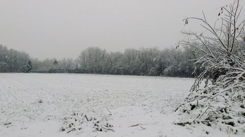有关冬季, 大雪, 天性的免费素材视频